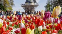 Blumenpark Keukenhof Niederlande