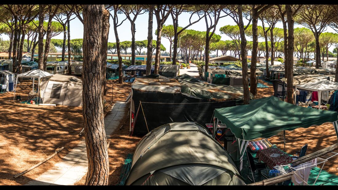 Camping im Pinienwald am Meer Ihr Urlaub am Meer in der Toskana