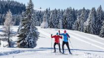 Cross country skiing in Herzogenhorn