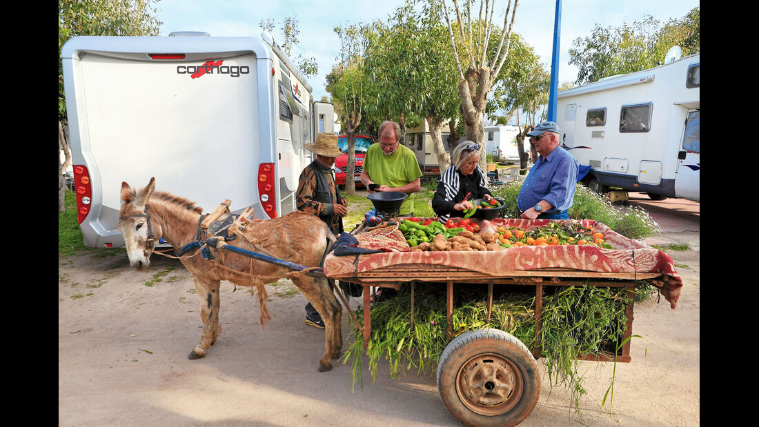 Die marokkanischen Bauern setzen auf den Direktverkauf. 