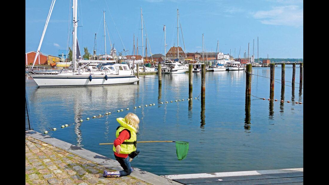 Diese junge Dame angelt mit dem Kescher im Hafenbecken der Stadt Svendborg.