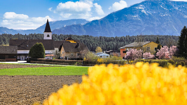 Dorfgemeinschaft, Feld, gelbe Blumen, Gebirge, alpines Flair 