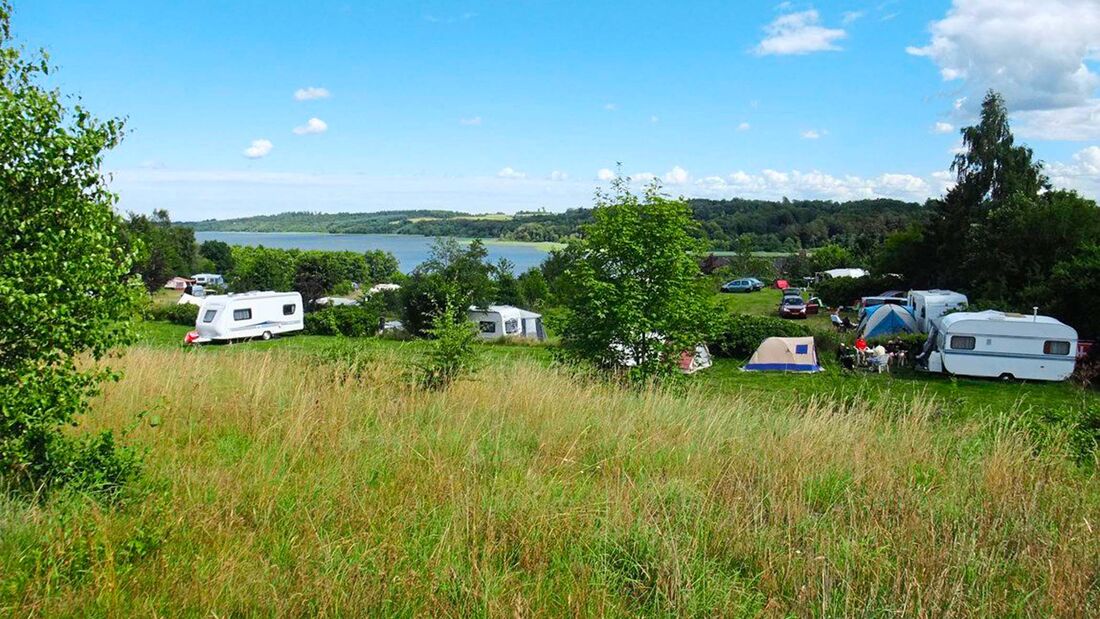 Eine schöne Lage im Grünen und am Tjele-Langsø-See zeichnet diesen Campingplatz aus. Die Betreiber schaffen eine familiäre Atmosphäre.