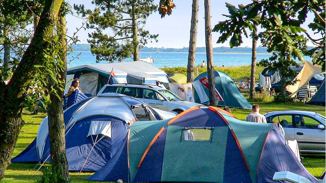Feddet Camping