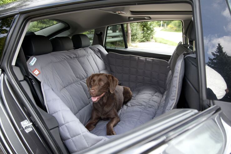 Rückbank und Kofferraumdecken für Hunde Caravaning