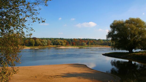 Herbstziel: Biosphärenreservat Mittlere Elbe