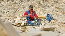 Hobby-Archäologen lieben die Suche nach Fossilien.