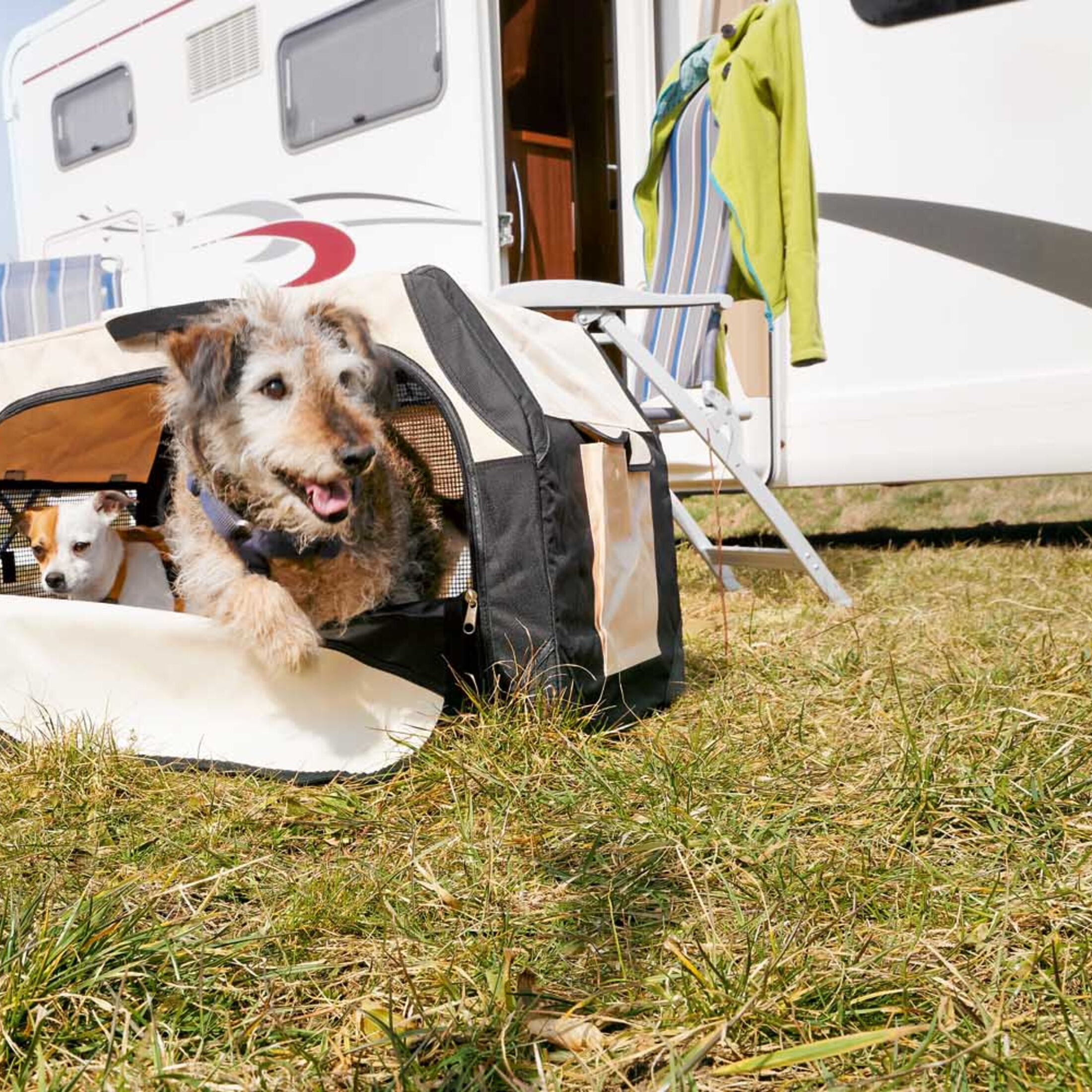 Camping-Zubehör für Urlaub mit dem Hund