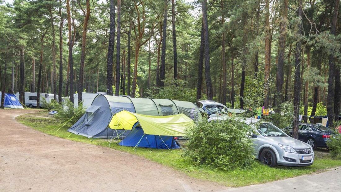 Hundefreie Campingplätze