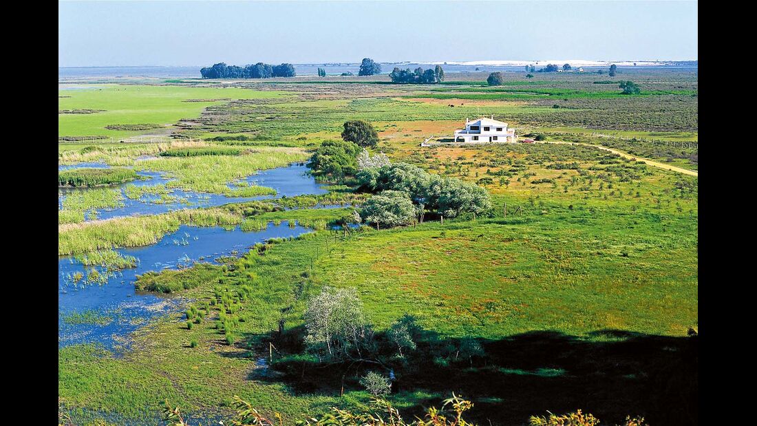 Naturschutzzone Coto de Doñana