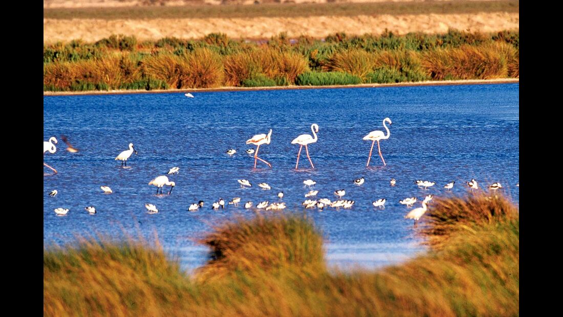Naturschutzzone Coto de Doñana