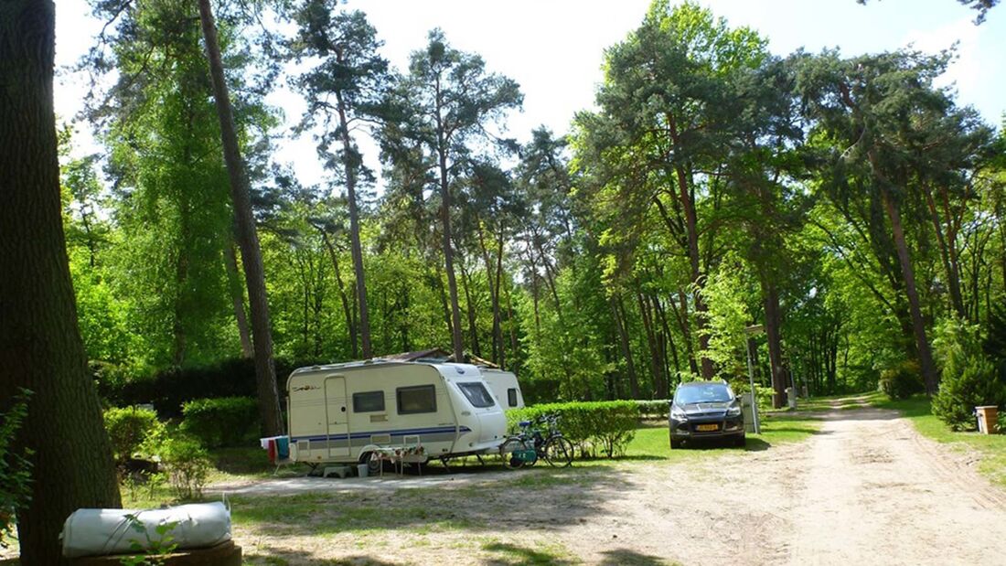 Schwielowsee Camping