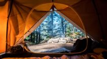 Zelt, Ausblick aus Zelt