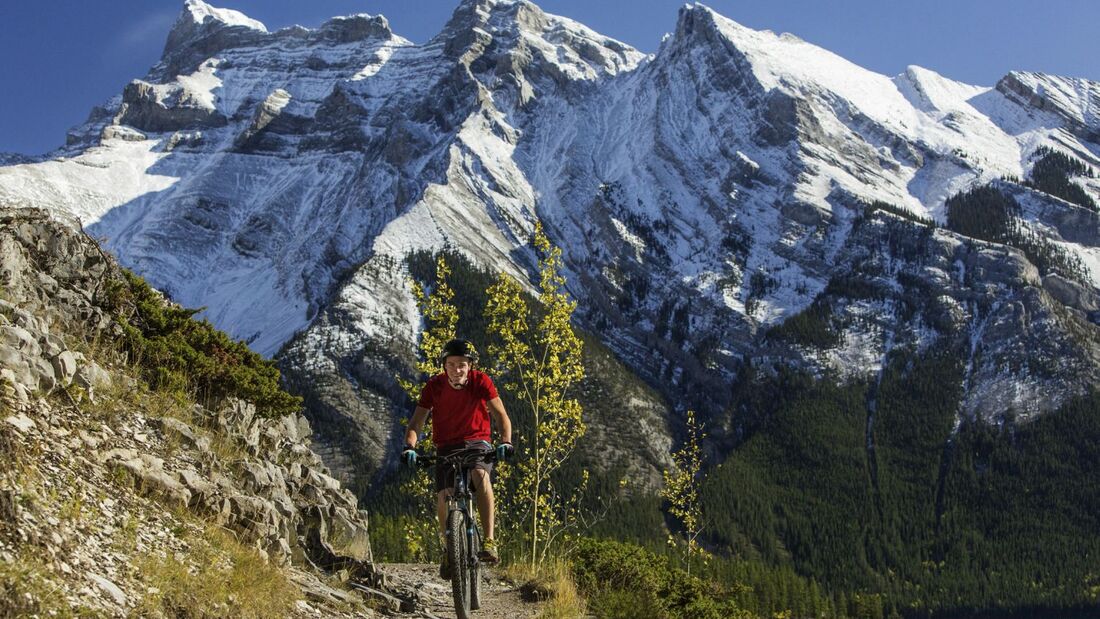 Zum Freizeitprogramm der Goldenwood Lodge gehören Touren mit dem Mountainbike.