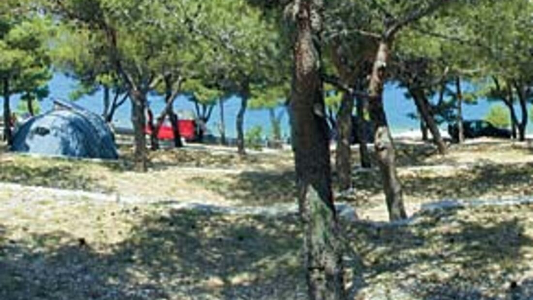 Camp Adriatic